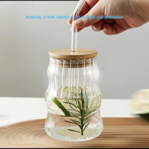 Borosil Stripe Mason Jar with Bamboo Lid & Straw